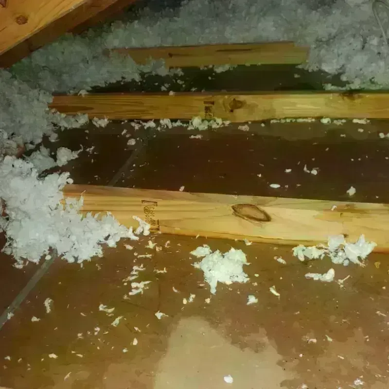 Attic Water Damage in Giddings, TX